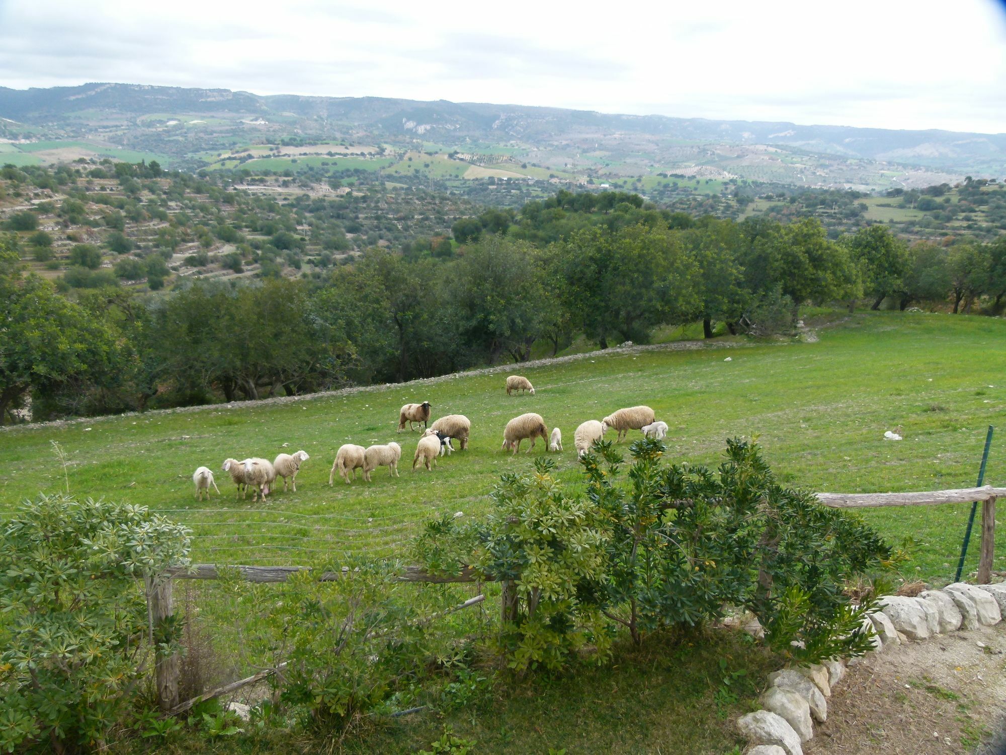 Agriturismo Villa Gaia Modica Buitenkant foto