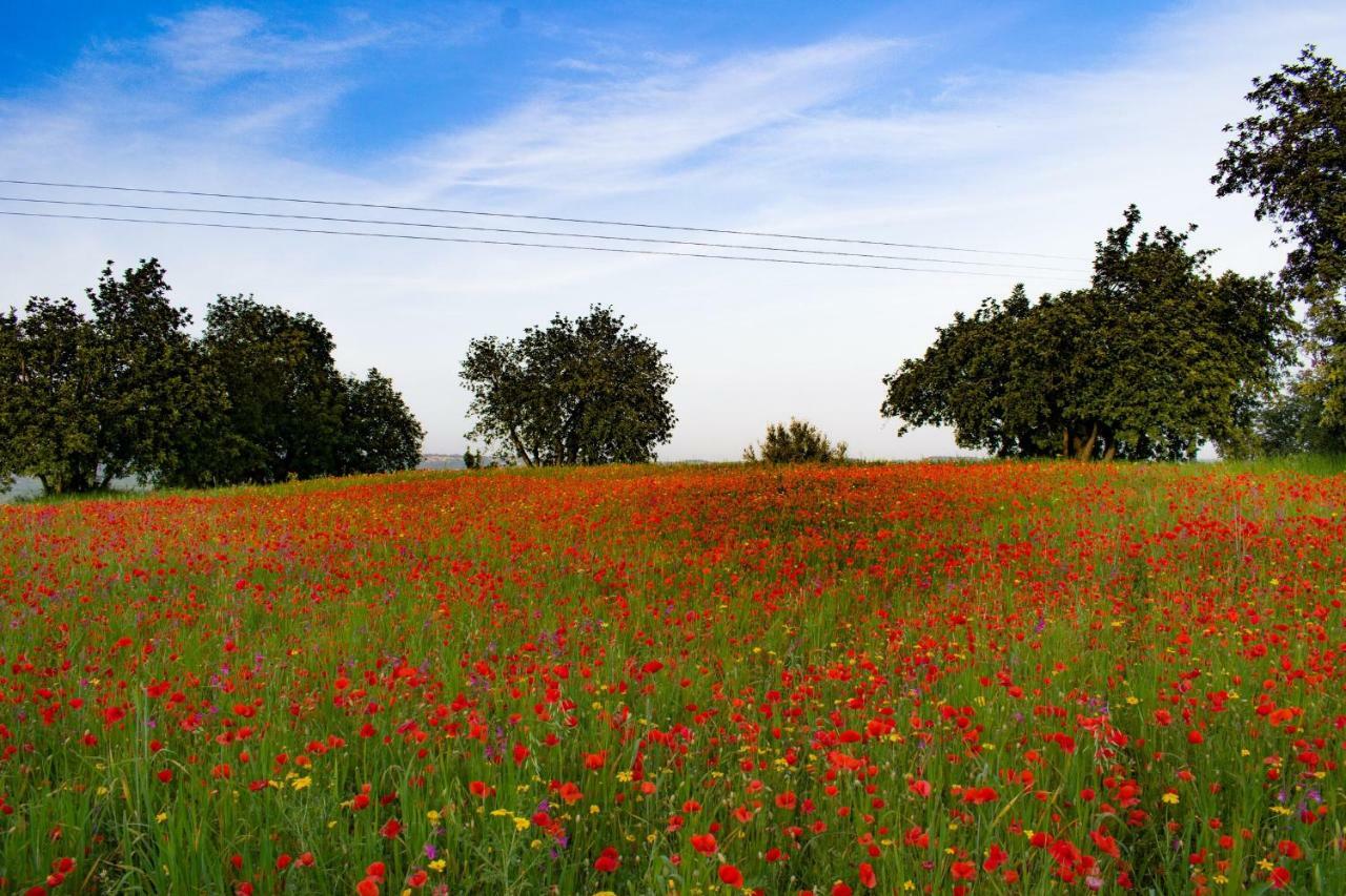 Agriturismo Villa Gaia Modica Buitenkant foto